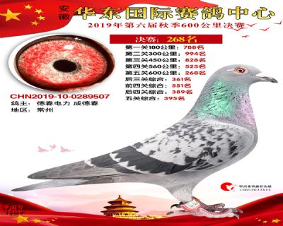 华东268