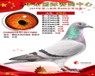 华东270