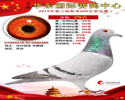 华东278