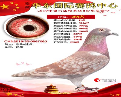 华东288