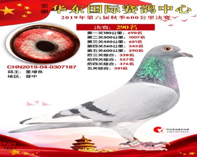 华东290