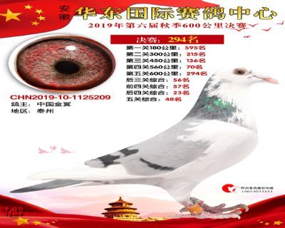 华东294