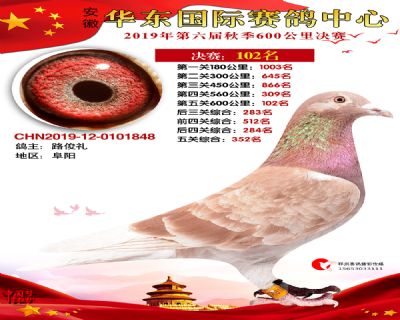 华东102