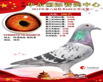 华东106
