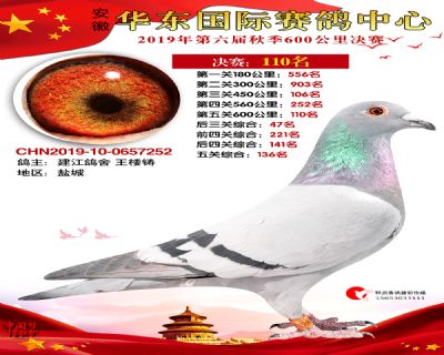 华东110