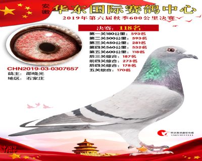 华东118