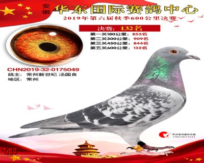 华东132