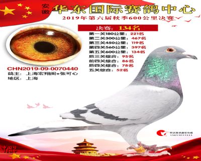 华东134
