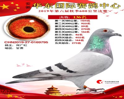华东136