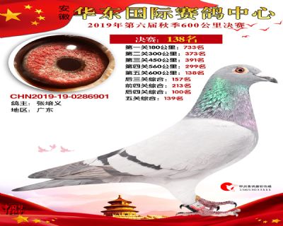 华东138