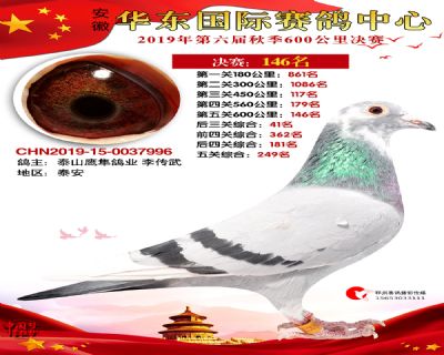 华东146
