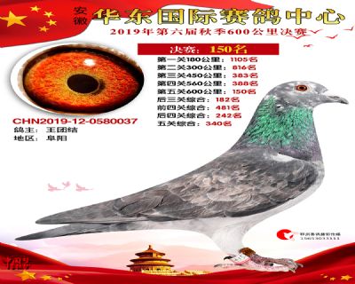 华东150