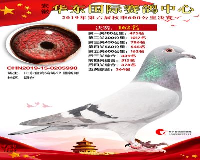 华东162