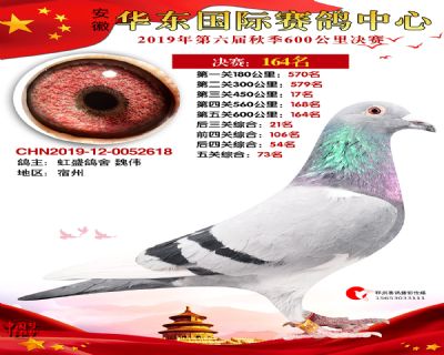 华东164