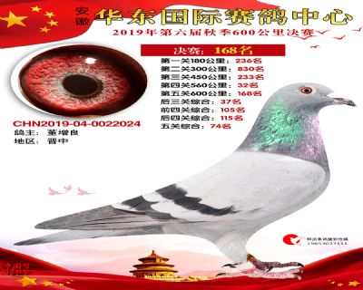华东168