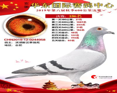 华东186