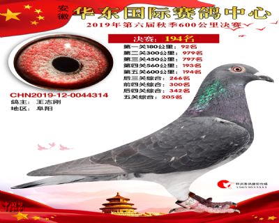 华东194