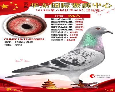 华东196