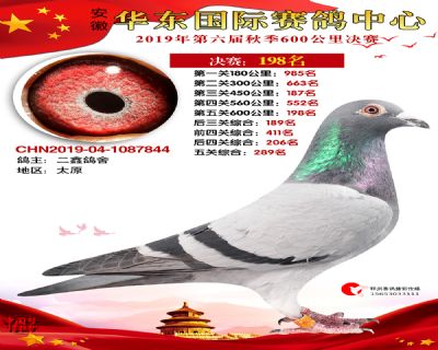 华东198