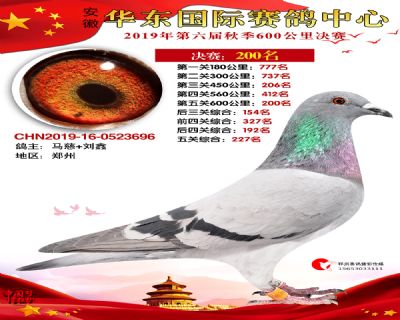 华东200