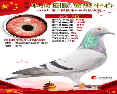 华东9