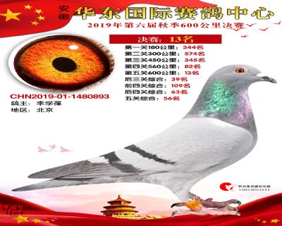 华东13