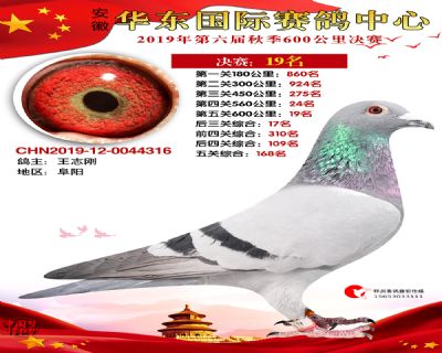 华东19