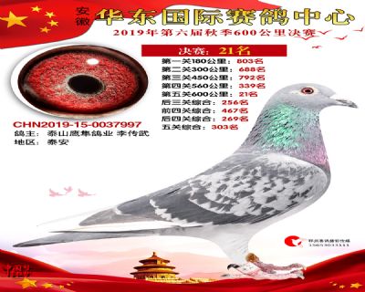 华东21