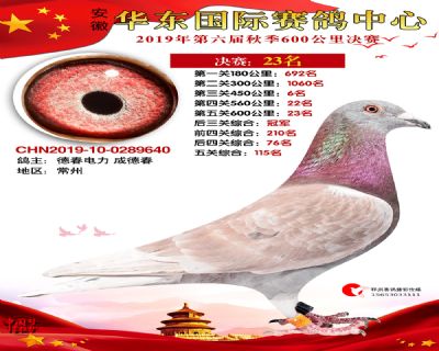 华东23