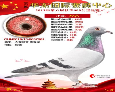 华东37