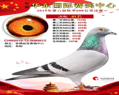 华东41