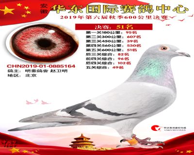 华东51