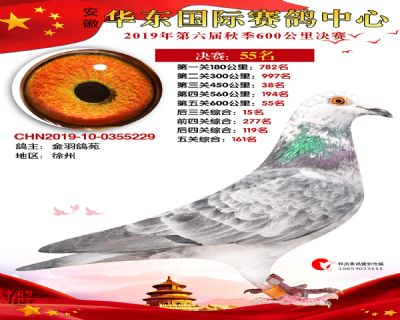 华东55