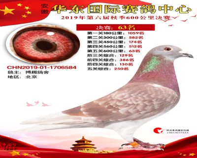 华东63