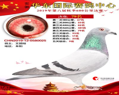 华东79