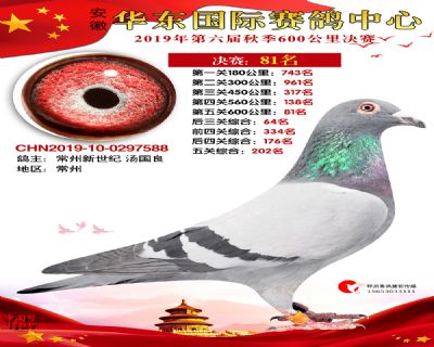 华东81