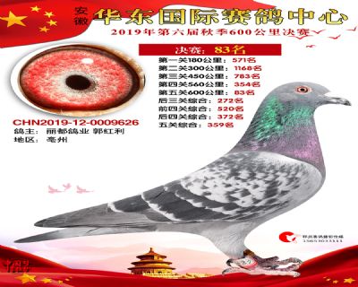 华东83