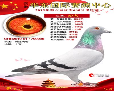 华东87