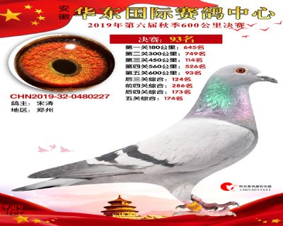 华东93