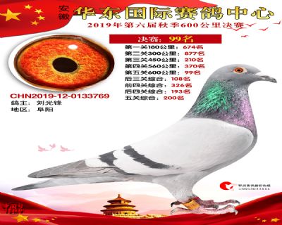 华东99