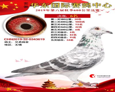 华东6