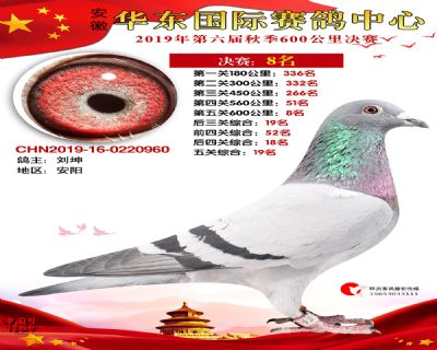 华东8