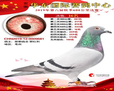 华东16