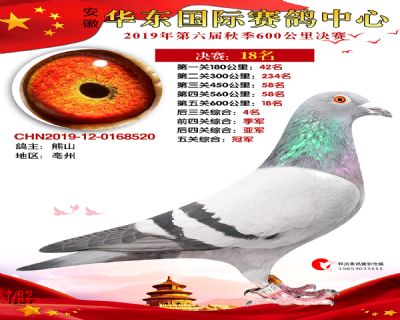 华东18
