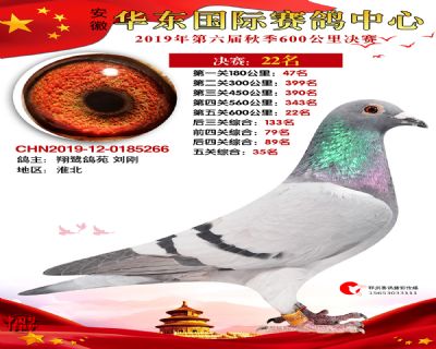 华东22