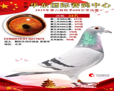 华东24