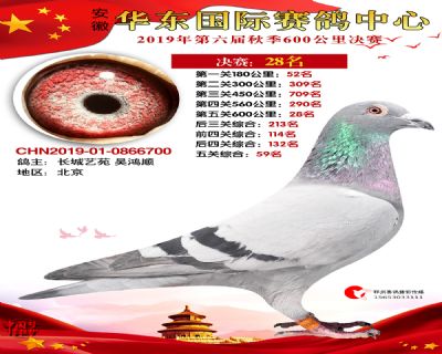 华东28