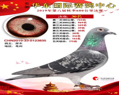 华东30