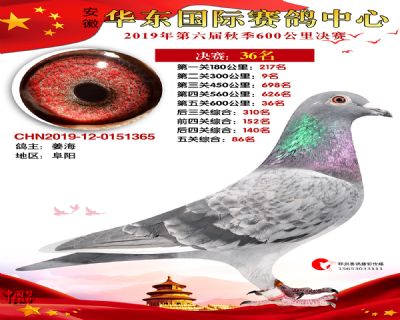 华东36
