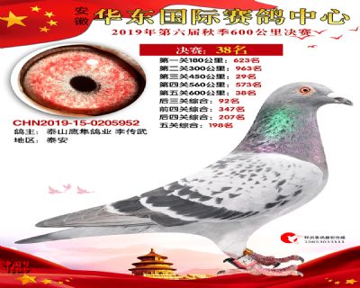 华东38